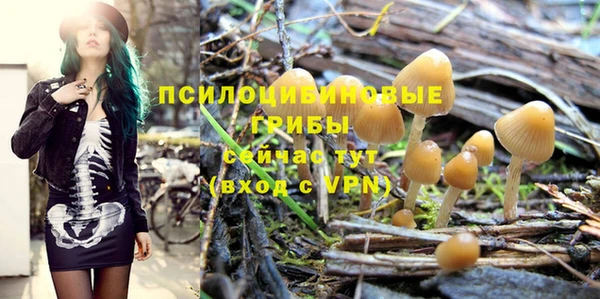 дурь Абдулино