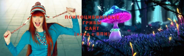 круглые Алексин