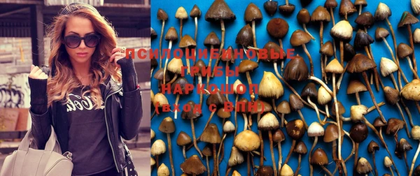 меф Абаза