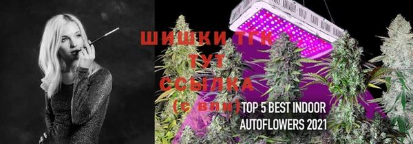 гидропоника Алзамай