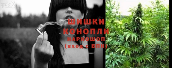 ешки Протвино