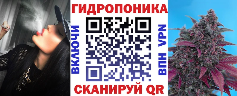 Бошки марихуана сатива  Губкин 